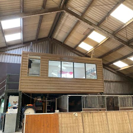 The Horse Farm Bed & Breakfast Garnwerd Luaran gambar