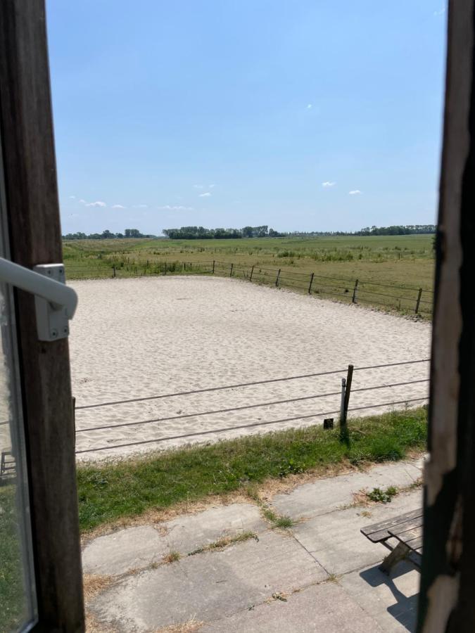 The Horse Farm Bed & Breakfast Garnwerd Luaran gambar