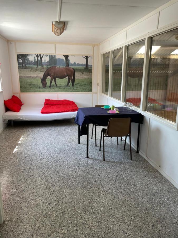 The Horse Farm Bed & Breakfast Garnwerd Luaran gambar